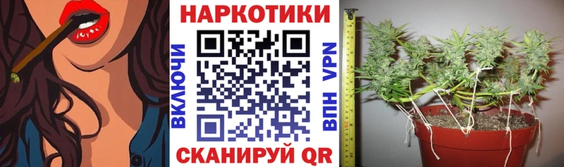Названия наркотиков Пучеж Конопля КОКАИН ГАШИШ A-PVP МЕФ