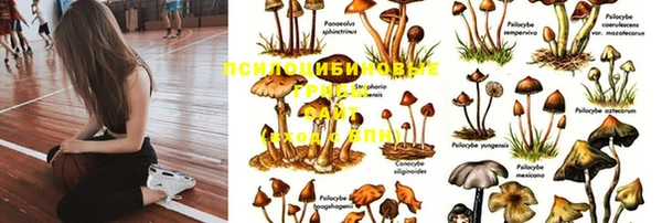 MESCALINE Алзамай
